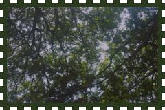 self proclaimed storyteller